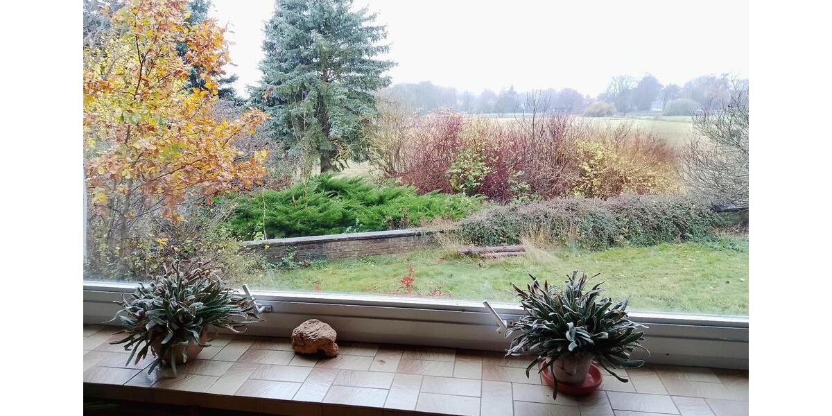 Bauernhaus, Landhaus Schnega - 9 Zimmer, 248 m&sup2;, 335.000&euro; | Angebot:27092836