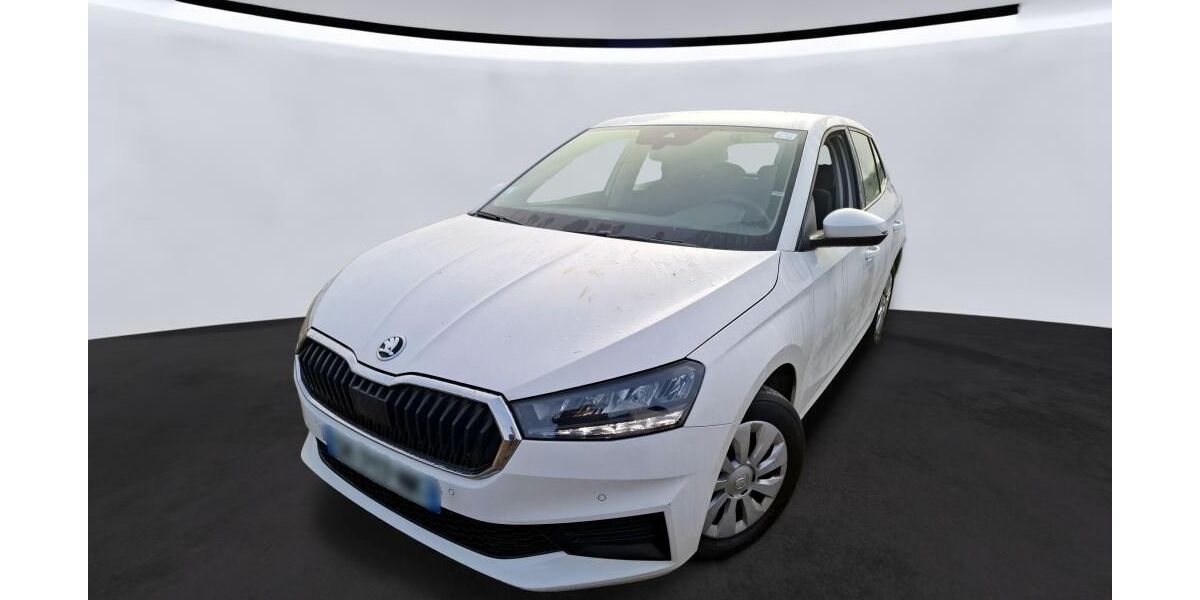 Skoda Fabia 41.143 km 11.690 &euro; Hagen 58091