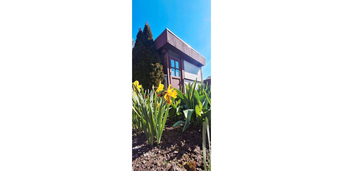 Doppelhaushälfte Aschersleben - 5 Zimmer, 80 m&sup2;, 120.000&euro; | Angebot:26474978