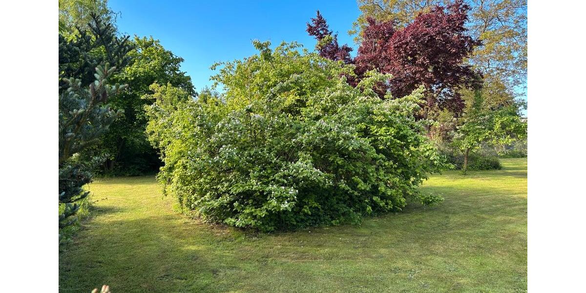 Einfamilienhaus Neustadt (Dosse) - 4 Zimmer, 90 m&sup2;, 125.000&euro; | Angebot:26614084