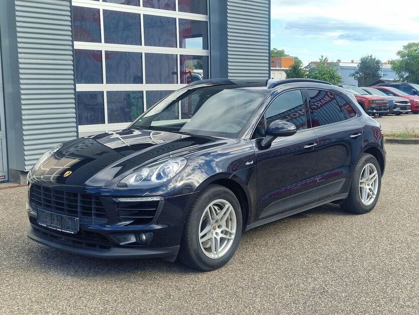 Macan