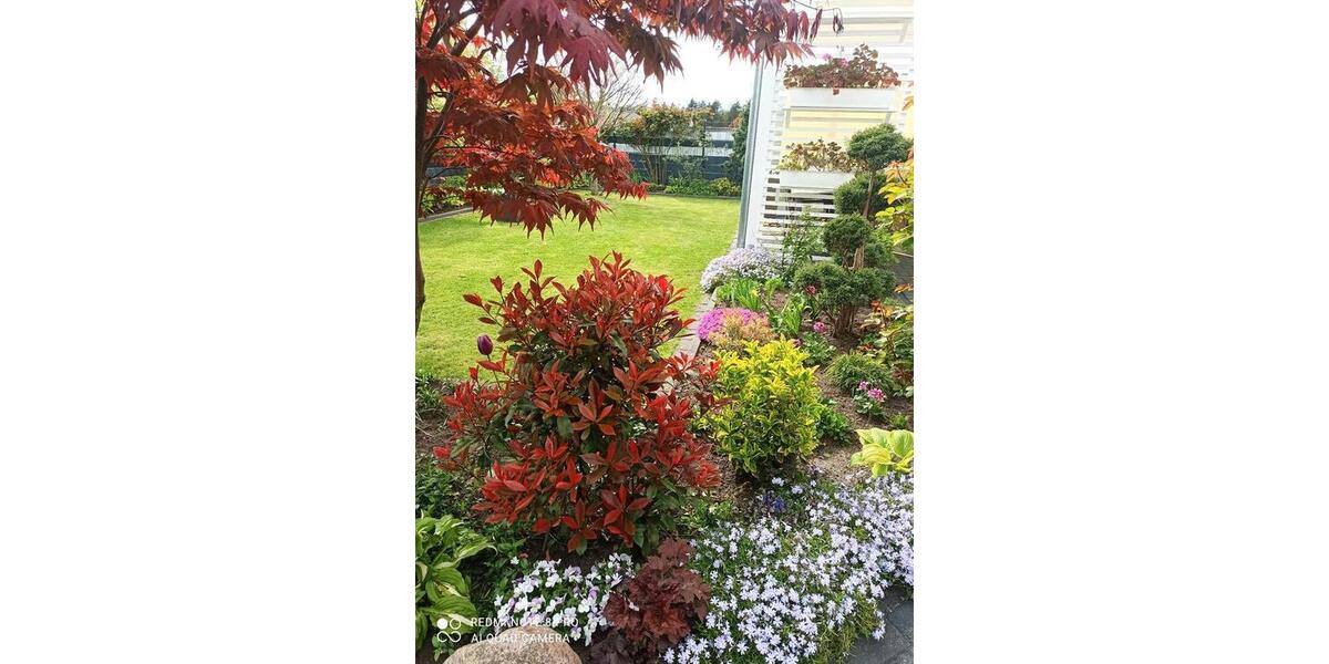 Einfamilienhaus Sassenburg - 5 Zimmer, 136 m&sup2;, 330.000&euro; | Angebot:25353402