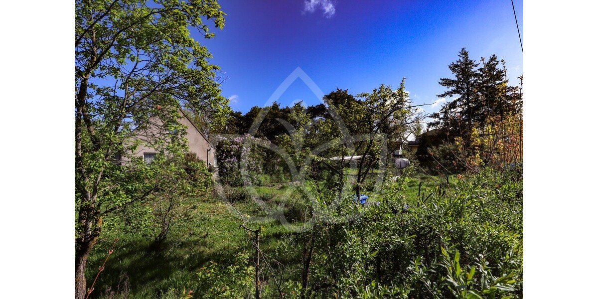 Großes Projektgrundstück ca. 2.195 m² mit Altbestand – Petershagen - Grundstück Petershagen-Eggersdorf Eggersdorf | Angebot:24946487