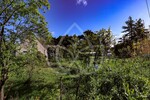 Großes Projektgrundstück ca. 2.195 m² mit Altbestand – Petershagen - Grundstück Petershagen-Eggersdorf Eggersdorf | Angebot:24946487