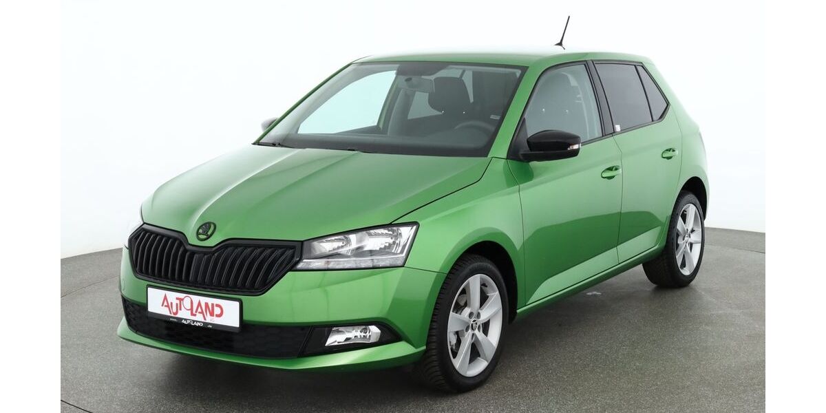 Skoda Fabia 76.452 km 10.890 &euro; Leipzig 04209