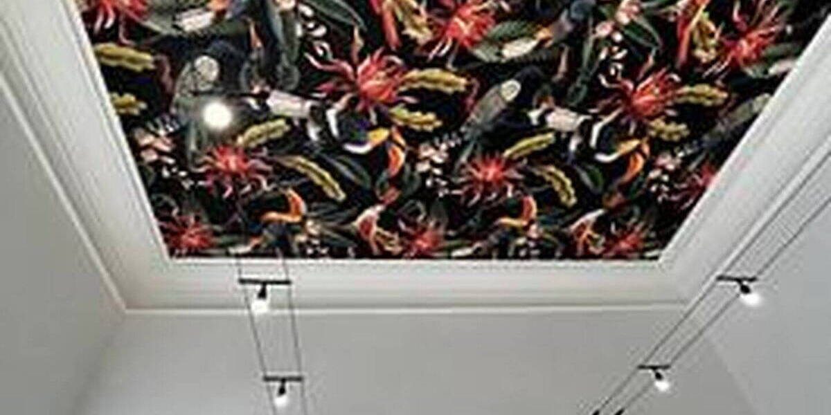Gewerbeobjekt Aachen Frankenberger Viertel - 745&euro; | Angebot:26542406