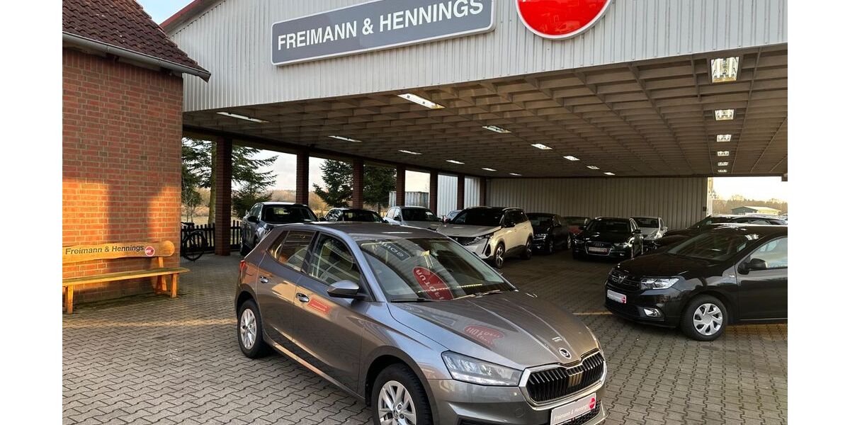 Skoda Fabia 30.790 km 19.900 &euro; Arendsee OT Fleetmark 39619
