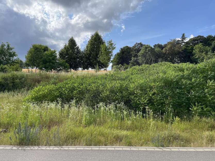 Grundstück zu verkaufen in Bassenheim 227.850 € 651 m²