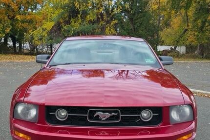 Ford Mustang 149.000 km 4.500 &euro; Mannheim 68167