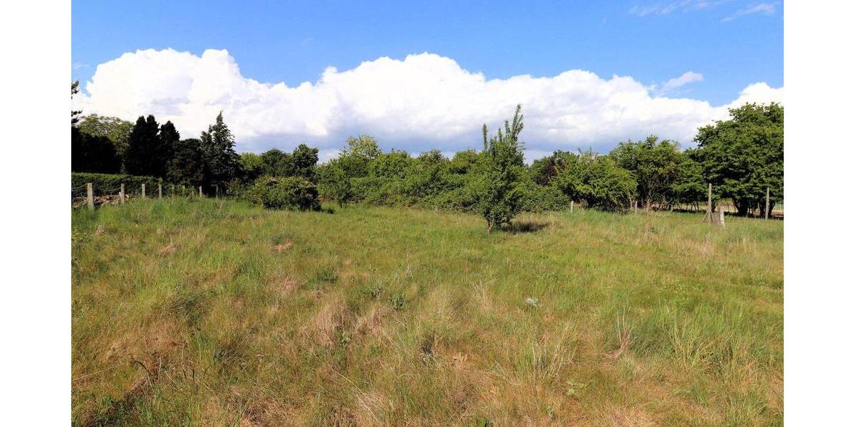 Grundstück Stendal Insel - 40.000&euro; | Angebot:25743992