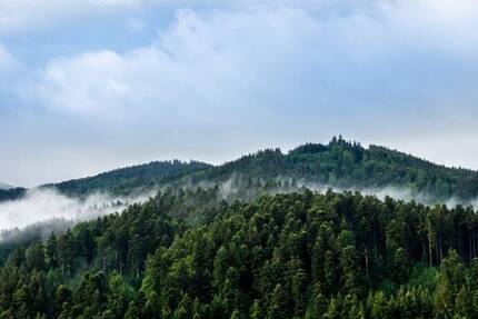 Gewerbeobjekt Baiersbronn Tonbach - 3 Zimmer, 1.750.000&euro; | Angebot:25665363