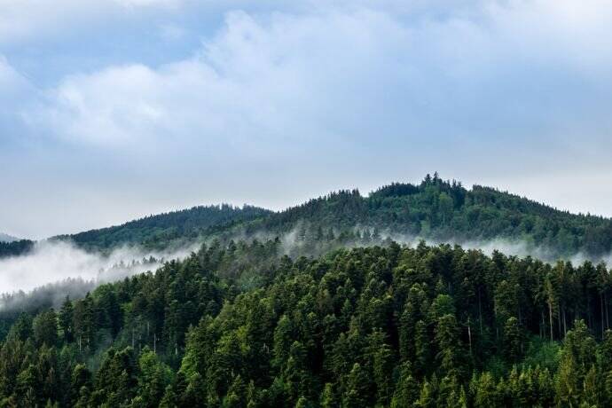 Gewerbeobjekt Baiersbronn Tonbach - 3 Zimmer, 1.750.000&euro; | Angebot:25665363