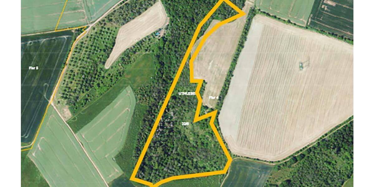 Versteigerungsimmobilie Heringen/Helme Uthleben - 25.000&euro; | Angebot:26290939