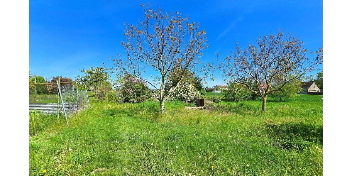 Einfamilienhaus Osternienburger Land Dornbock - 138.000&euro; | Angebot:26885870