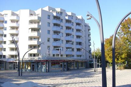 WG Wohnung Dachgeschoss 1 Zimmer