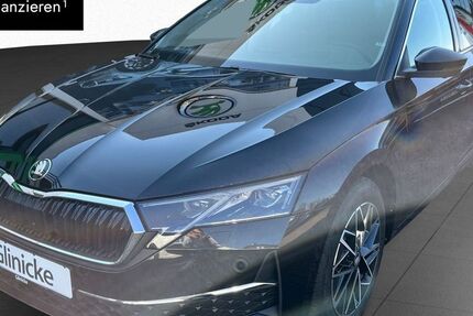 Skoda Octavia 3.500 km 35.990 € Kassel 34123