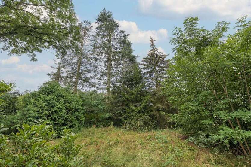 Grundstück zu verkaufen in Bernau bei Berlin 390.000 € 912 m²