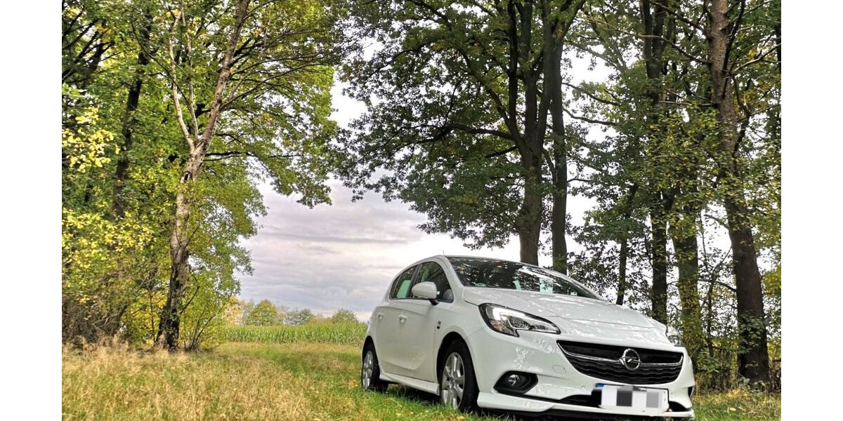 Opel Corsa 93.900 km 10.200 &euro; Groß Wittensee 24361