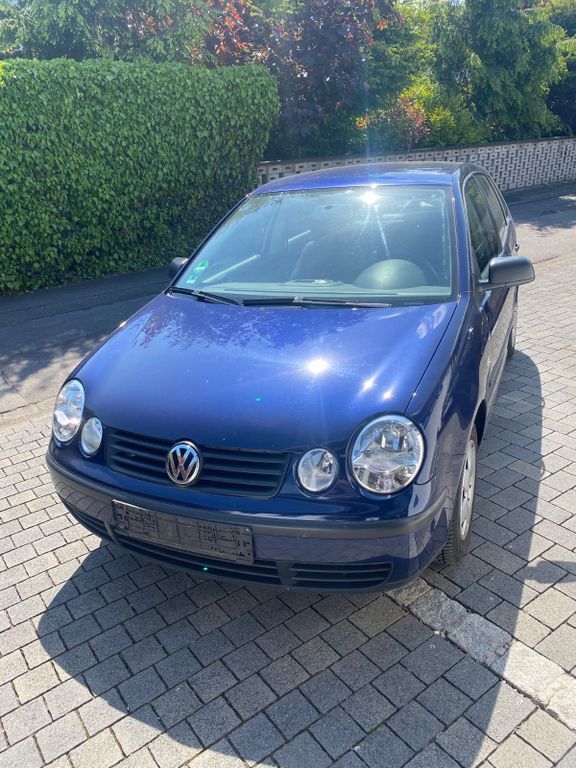 Polo