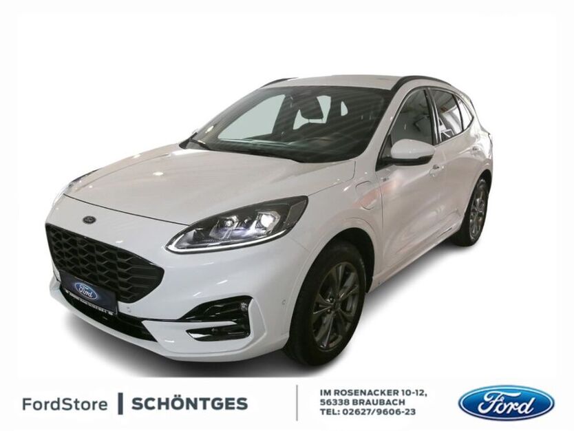 Kuga