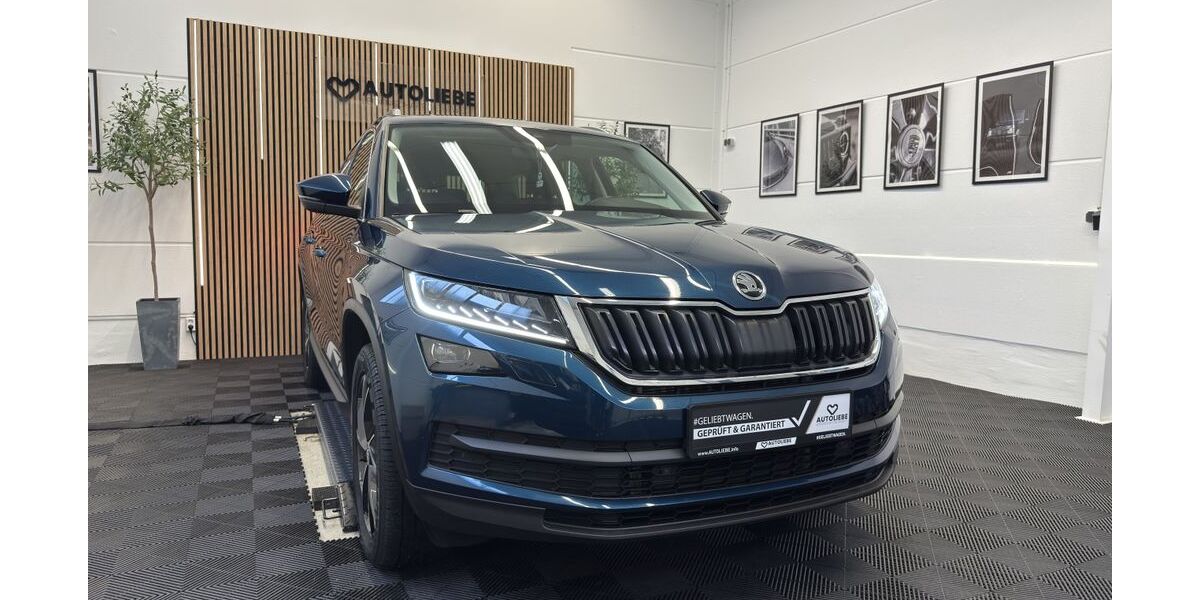 Skoda Kodiaq 108.993 km 26.990 € Wendelstein 90530