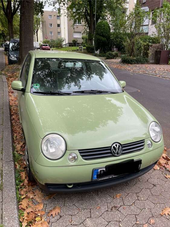 Lupo