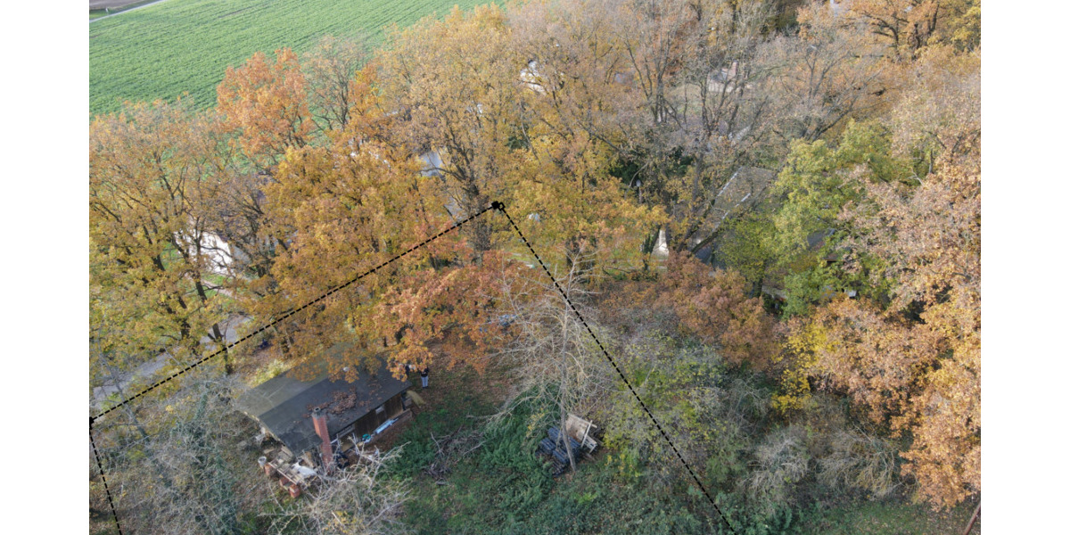 Grundstück Felsberg-Lohre Lohre - 65.000&euro; | Angebot:19312405