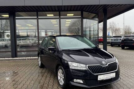 Skoda Fabia 141.519 km 8.490 &euro; Jülich 52428