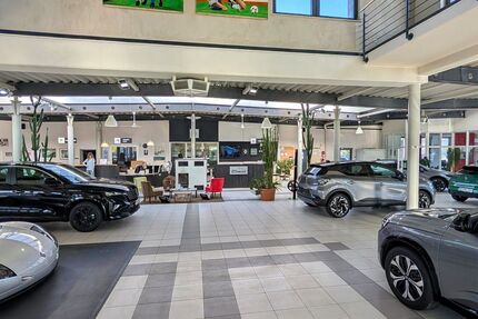 Renault Symbioz 18.000 km 21.800 &euro; Lügde 32676