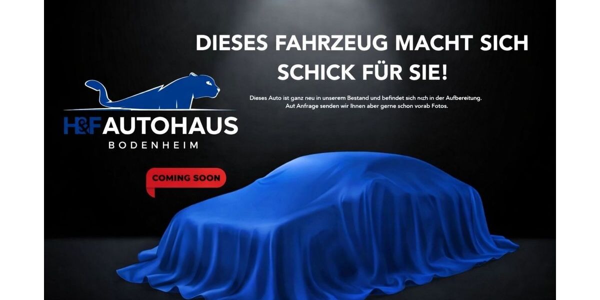 VW Crafter 204.421 km 13.990 &euro; Bodenheim 55294