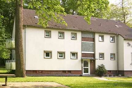 Wohnung zum Mieten in Gelsenkirchen 389 € 47.75 m²