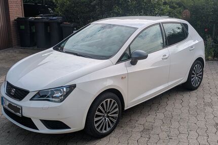 Seat Ibiza 108.798 km 8.000 &euro; Rodewald 31637