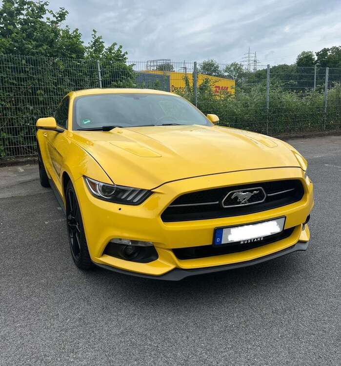 Mustang