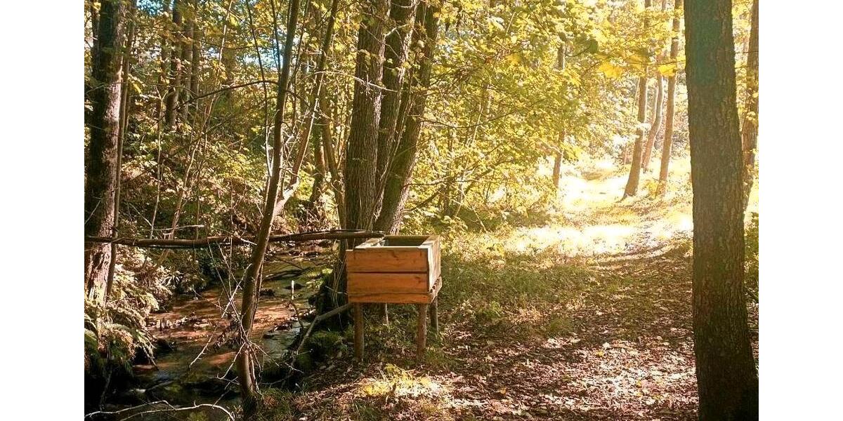 Ferienimmobilie Neukirchen bei Heiligen Blut - 100&euro; | Angebot:11058940