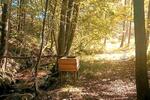 Ferienimmobilie Neukirchen bei Heiligen Blut - 100&euro; | Angebot:11058940