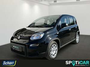 Fiat Panda 1.500 km 14.995 € Eisenach 99817