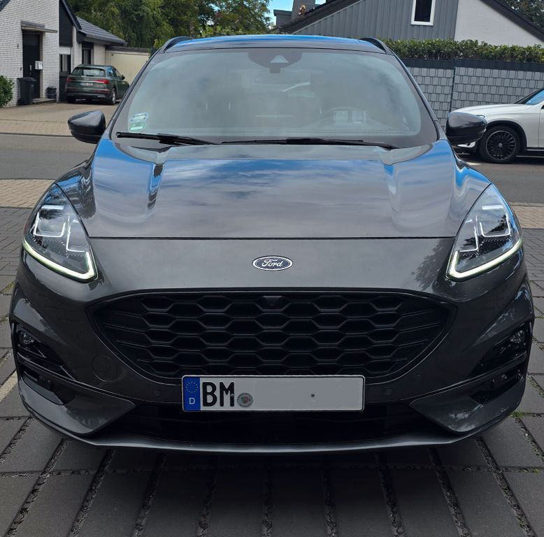 Kuga