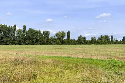 Grundstück Bad Liebenwerda / OT Möglenz Möglenz - 48.000&euro; | Angebot:27305431