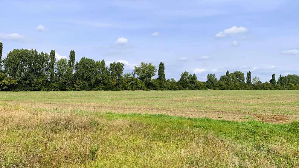 Grundstück Bad Liebenwerda / OT Möglenz Möglenz - 48.000&euro; | Angebot:27305431