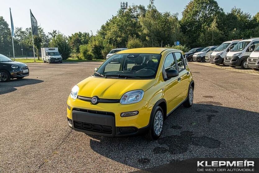 Panda