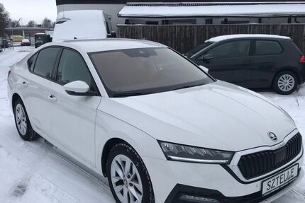 Skoda Octavia 186.241 km 17.999 &euro; Braunschweig 38110