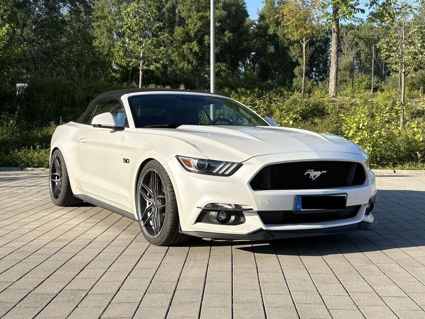 Mustang