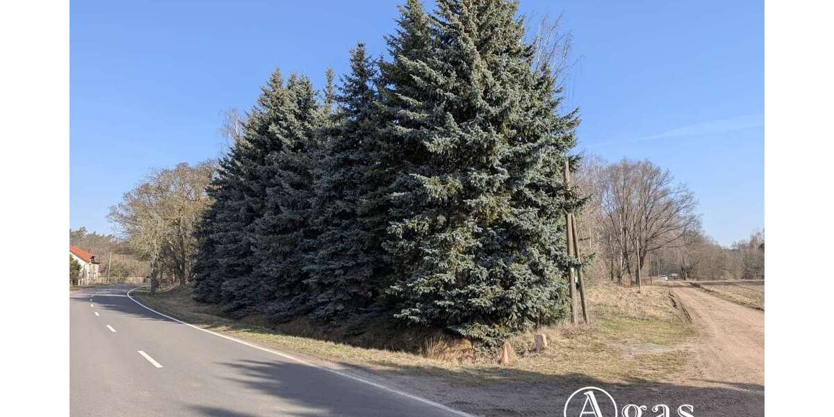Grundstück Stackelitz Stackelitz - 11.000&euro; | Angebot:25884020