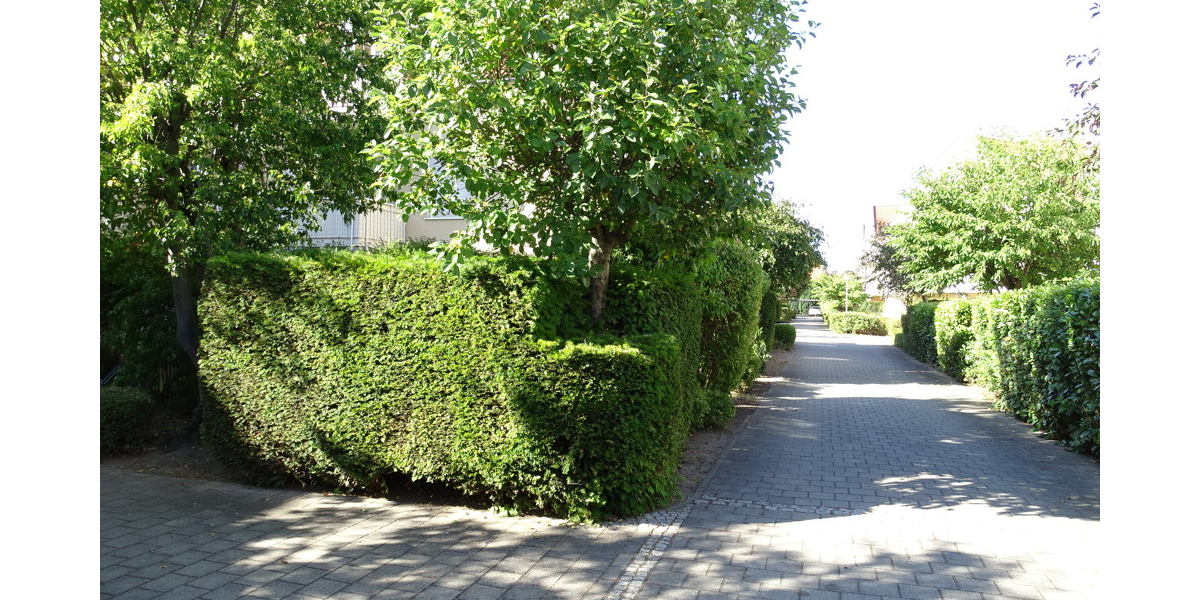 Gemütliche 3-Zimmer-Eigentumswohnung für Ihre Familie oder als Kapitalanlage 3 zimmer