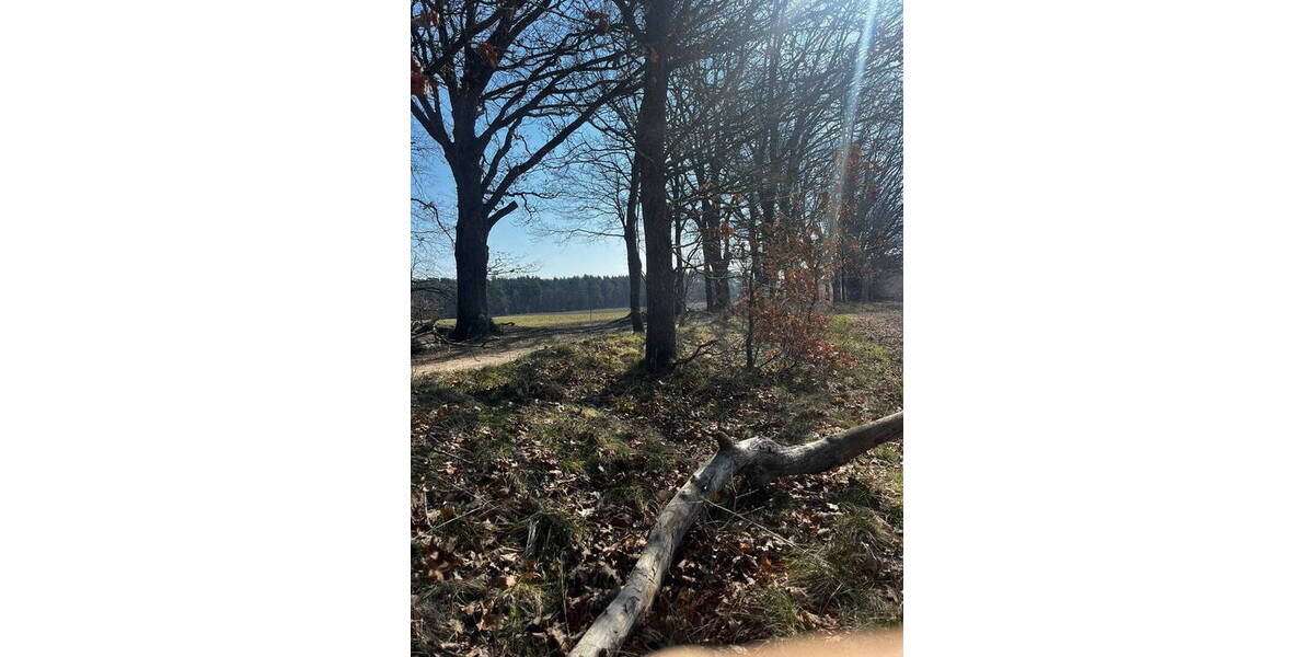 Reihenendhaus Lüneburg Kaltenmoor - 5 Zimmer, 120 m&sup2;, 499.900&euro; | Angebot:26016025