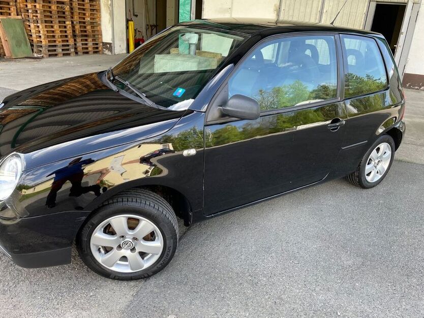 Lupo