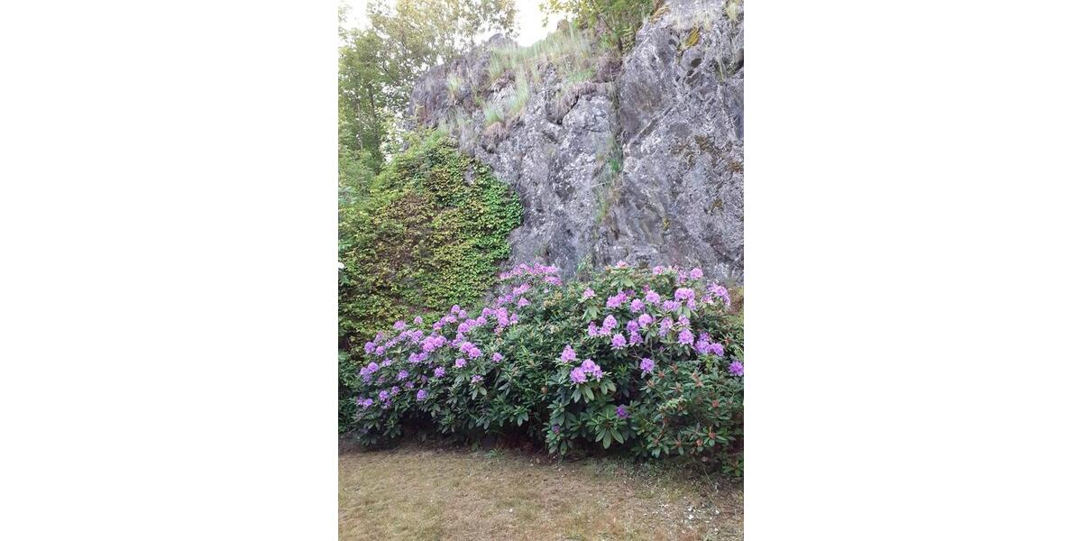Einfamilienhaus Suhl Schmiedefeld am Rennsteig - 110.000&euro; | Angebot:26658253