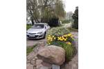 Bungalow Velgast OT Altenhagen Altenhagen - 1 Zimmer, 310 m&sup2;, 695.000&euro; | Angebot:26803019