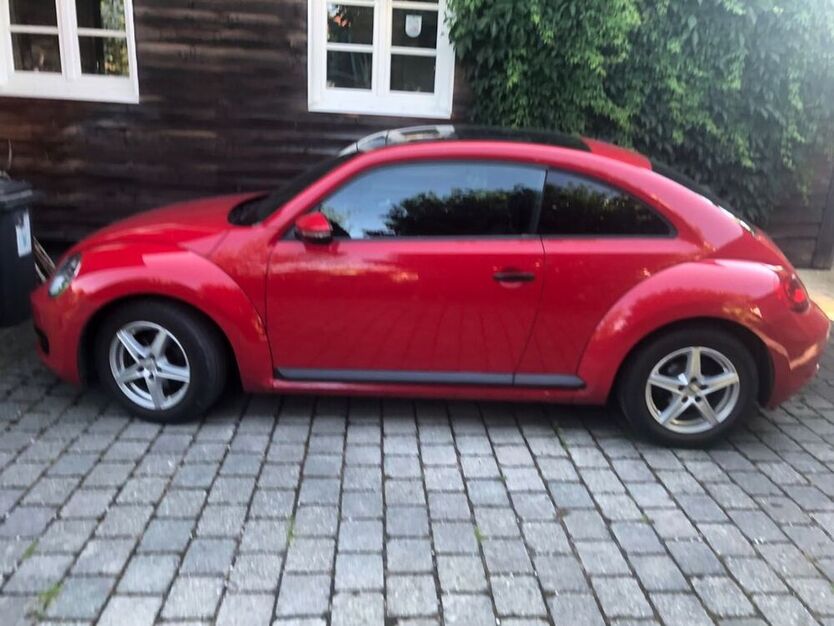 Beetle