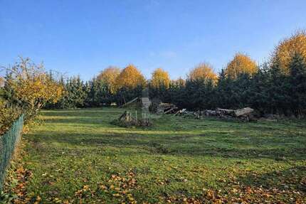 Grundstück Zierow - 315.000&euro; | Angebot:25549227